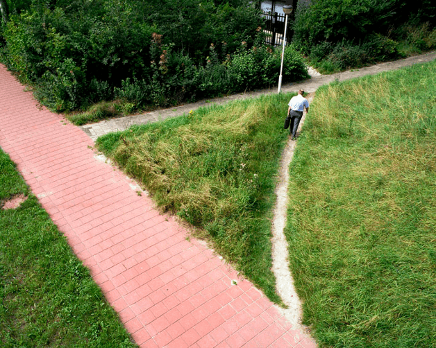 Desire Paths